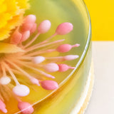 3D Jelly Flowers Cake 9" - Jelly Cakes - Sue Jelly Cake & Deli - - Eat Cake Today - Birthday Cake Delivery - KL/PJ/Malaysia