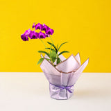 Bright Fuji Purple Dendrobium Orchids - Orchids - Luxe Florist - - Eat Cake Today - Birthday Cake Delivery - KL/PJ/Malaysia