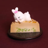 Bunny Jelly Mooncake Gift Box - Mid Autumn 2025 - Jerri Home - - Eat Cake Today - Birthday Cake Delivery - KL/PJ/Malaysia