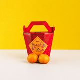 CNY Taiwan Phalaenopsis Orchids - Orchids - Luxe Florist - - Eat Cake Today - Birthday Cake Delivery - KL/PJ/Malaysia