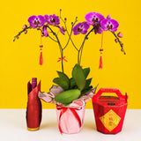CNY Taiwan Phalaenopsis Orchids - Orchids - Luxe Florist - - Eat Cake Today - Birthday Cake Delivery - KL/PJ/Malaysia