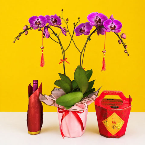 CNY Taiwan Phalaenopsis Orchids - Orchids - Luxe Florist - - Eat Cake Today - Birthday Cake Delivery - KL/PJ/Malaysia
