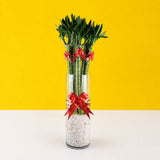 Dragon Lucky Lotus Bamboo Plant - Plants - Luxe Florist - - Eat Cake Today - Birthday Cake Delivery - KL/PJ/Malaysia