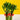 Dragon Lucky Lotus Bamboo Plant - Plants - Luxe Florist - - Eat Cake Today - Birthday Cake Delivery - KL/PJ/Malaysia