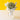 Fresh Chamomile Bouquet - Flowers - J Fleur Blossom - - Eat Cake Today - Birthday Cake Delivery - KL/PJ/Malaysia