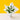 Fresh Pure Tulip Bouquet - Flowers - J Fleur Blossom - - Eat Cake Today - Birthday Cake Delivery - KL/PJ/Malaysia