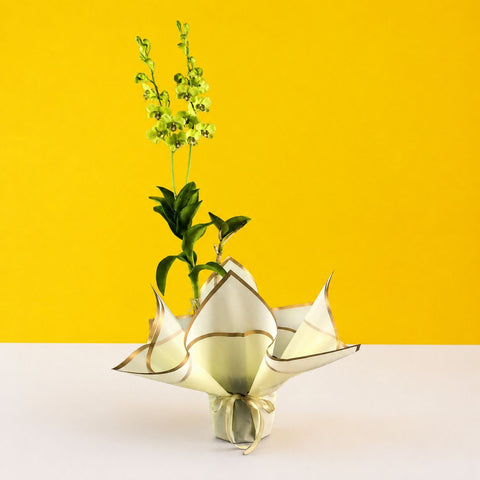 Lime Green Dendrobium Orchids - Orchids - Luxe Florist - - Eat Cake Today - Birthday Cake Delivery - KL/PJ/Malaysia