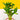 Lucky Lotus Bamboo Plant Gift Set - Flowers - Luxe Florist - - Eat Cake Today - Birthday Cake Delivery - KL/PJ/Malaysia