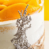 Mangolicious Vegan Cake - Vegan Cakes - Cake Hub - - Eat Cake Today - Birthday Cake Delivery - KL/PJ/Malaysia