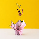 Maroon Gold Bicolor Dendrobium Orchids - Orchids - Luxe Florist - - Eat Cake Today - Birthday Cake Delivery - KL/PJ/Malaysia