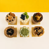 Papa's Wonders Cakes - FDAY2026 - Cake Calendar - - Eat Cake Today - Birthday Cake Delivery - KL/PJ/Malaysia