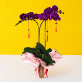 Purple Fuchsia Phalaenopsis Orchids - Orchids - Luxe Florist - - Eat Cake Today - Birthday Cake Delivery - KL/PJ/Malaysia