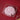 Rose Floral Jelly Mooncake Set - Mooncake2026 - Jerri Home - - Eat Cake Today - Birthday Cake Delivery - KL/PJ/Malaysia