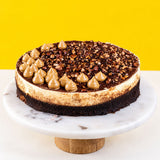 Tiramisu Cake 9" - Sponge Cakes - Ennoble by Elevete - - Eat Cake Today - Birthday Cake Delivery - KL/PJ/Malaysia
