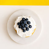 Vanilla Baby Smash Cake 6" - Buttercakes - Cuddly Confectioner - - Eat Cake Today - Birthday Cake Delivery - KL/PJ/Malaysia
