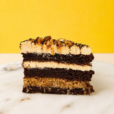 Wild Guccii Tiramisu Cake - Tiramisu - Petter.Co - - Eat Cake Today - Birthday Cake Delivery - KL/PJ/Malaysia