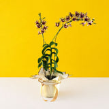 Yellow Maroon Bicolor Dendrobium Orchids - Orchids - Luxe Florist - - Eat Cake Today - Birthday Cake Delivery - KL/PJ/Malaysia