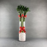 Dragon Lucky Lotus Bamboo Plant - Orchids - Luxe Florist - - Eat Cake Today - Birthday Cake Delivery - KL/PJ/Malaysia