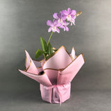 Lilac Stripe Dendrobium Orchids - Orchids - Luxe Florist - - Eat Cake Today - Birthday Cake Delivery - KL/PJ/Malaysia