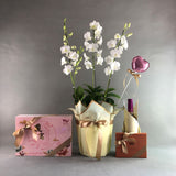 Mother's Day Dendrobium Orchids - Orchids - Luxe Florist - - Eat Cake Today - Birthday Cake Delivery - KL/PJ/Malaysia