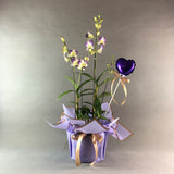 Mother's Day Dendrobium Orchids - Orchids - Luxe Florist - - Eat Cake Today - Birthday Cake Delivery - KL/PJ/Malaysia