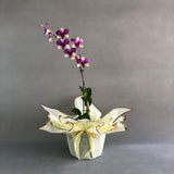 Purple with Yellow Green Dendrobium Orchids - Orchids - Luxe Florist - - Eat Cake Today - Birthday Cake Delivery - KL/PJ/Malaysia