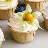 Tropical Fruits Cupcakes - Cupcakes - Junandus - - Eat Cake Today - Birthday Cake Delivery - KL/PJ/Malaysia