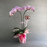 Valentine's Phalaenopsis Orchids - Orchids - Luxe Florist - - Eat Cake Today - Birthday Cake Delivery - KL/PJ/Malaysia