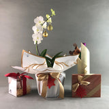 White Christmas Dendrobium Orchids Gift Set - Orchids - Luxe Florist - - Eat Cake Today - Birthday Cake Delivery - KL/PJ/Malaysia